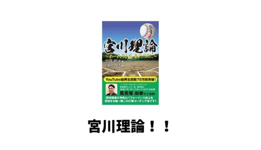 宮川理論とは？批判は正しい？宮川昭正さんやyasって誰？逆手やL字を解説