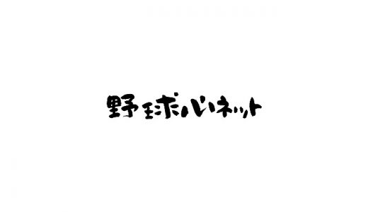 野球心ネットとは？使い方や効果と組立方法は？価格や口コミや評判も